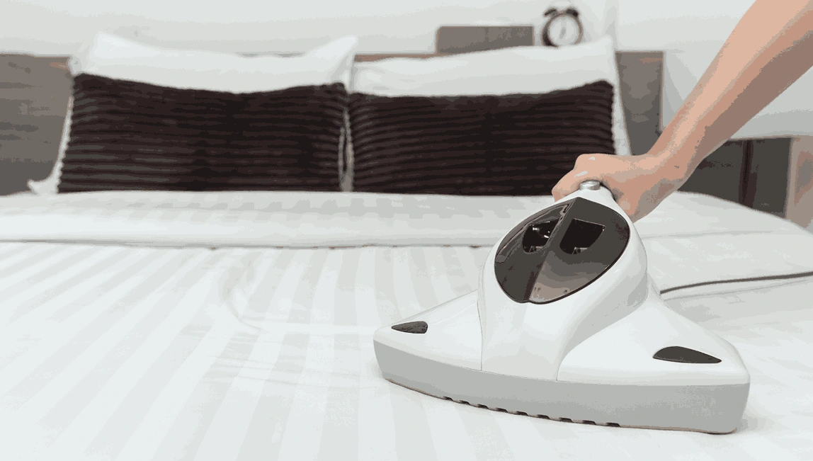 Professional Mattress Cleaning Gruyere
